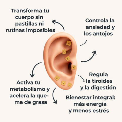 Terapia Magnética para el Peso (40% OFF)